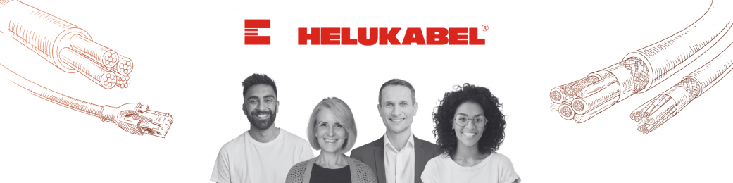 Microsoft Power Platform Entwickler / IT Spezialist